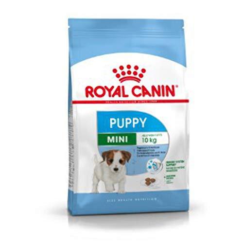 Royal canin mini junior pienso perros raza pequeña
