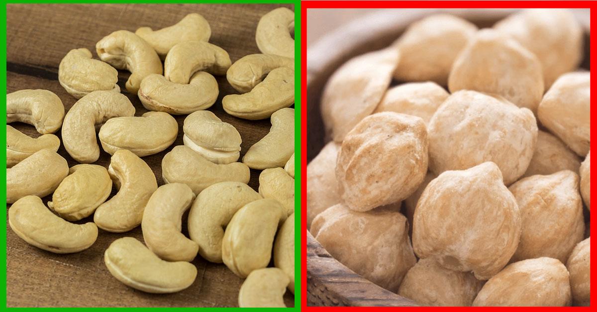 Nuez de la India: ¿Tóxica o para Bajar de Peso? Solucionado 2