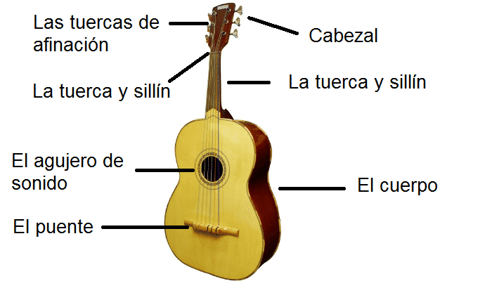 Partes del guitarrón mexicano