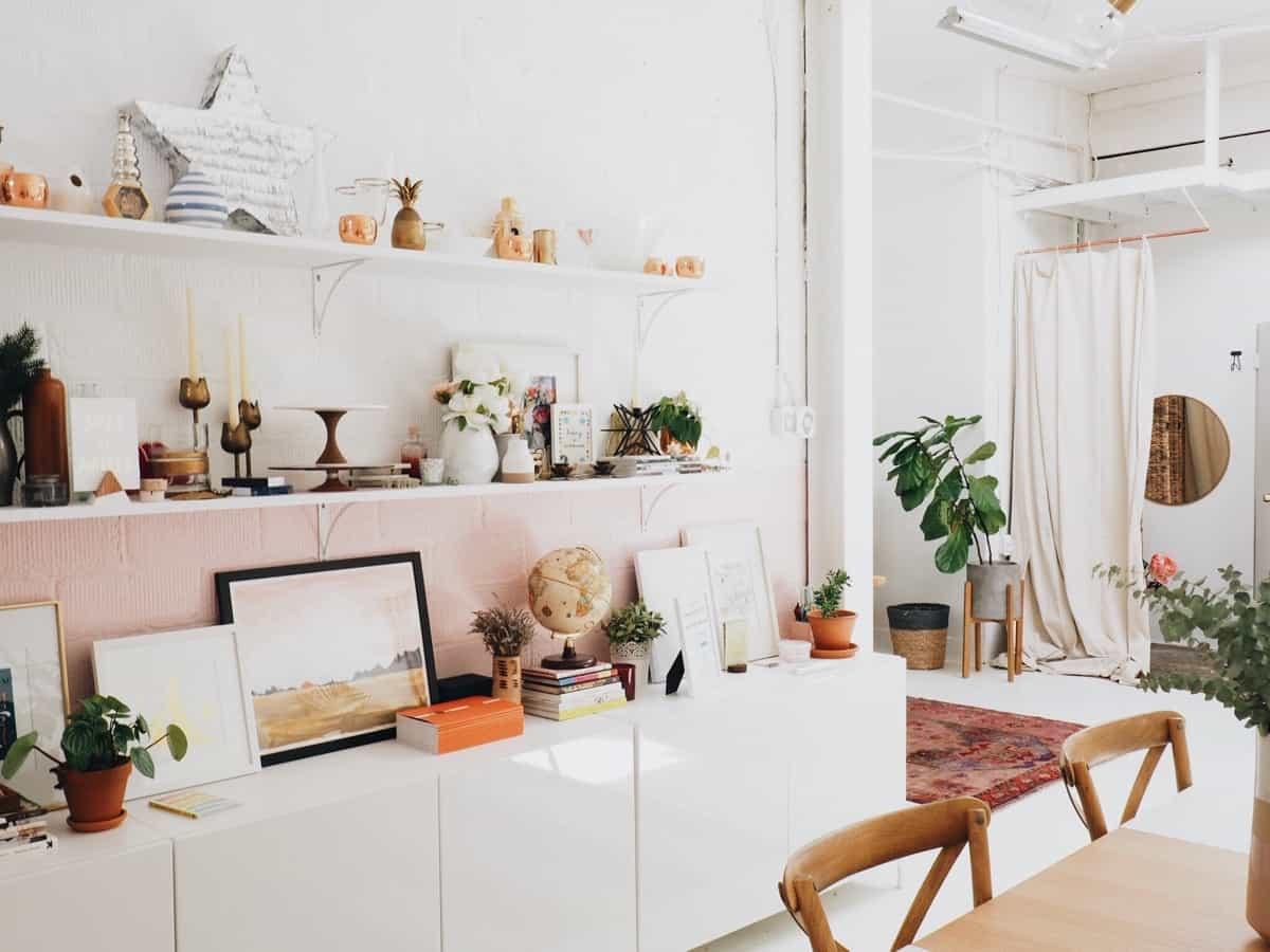 plantas de interior con sol