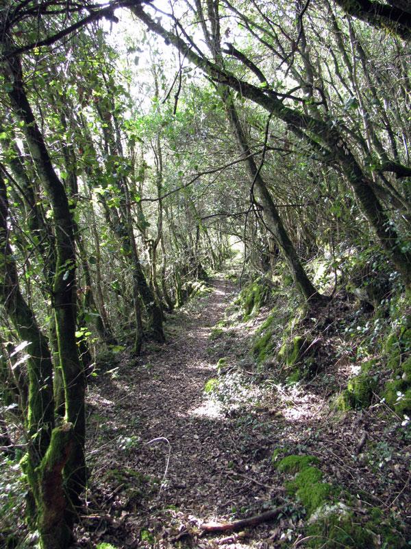 Precioso este tramo del sendero