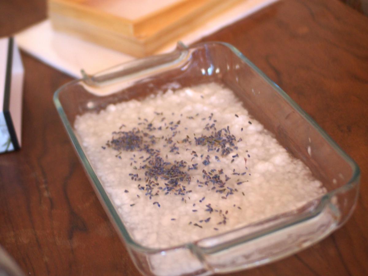 Semillas recien añadidas a la masa de celulosa para acer papel casero