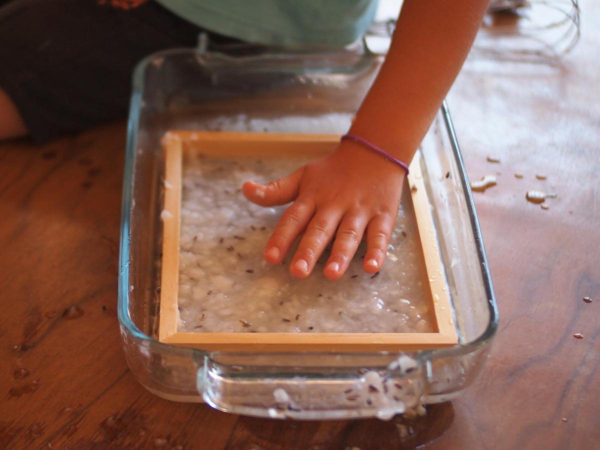 Manos de aplanado la masa de celulosa para hacer papel casero con semillas