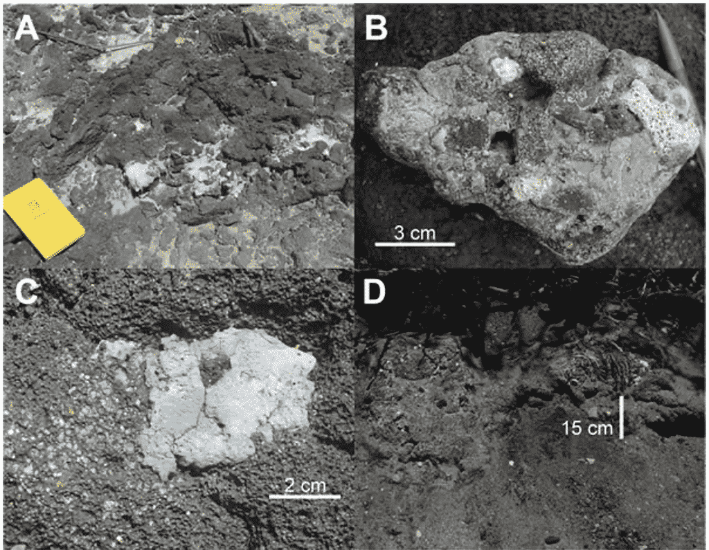 Fotografías de rocas formadas por plástico. Signos del antropoceno.