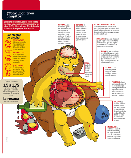 efectos-alcohol-organismo