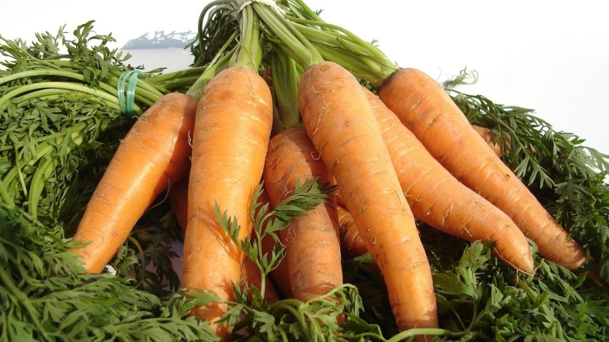 Día Mundial de la Zanahoria