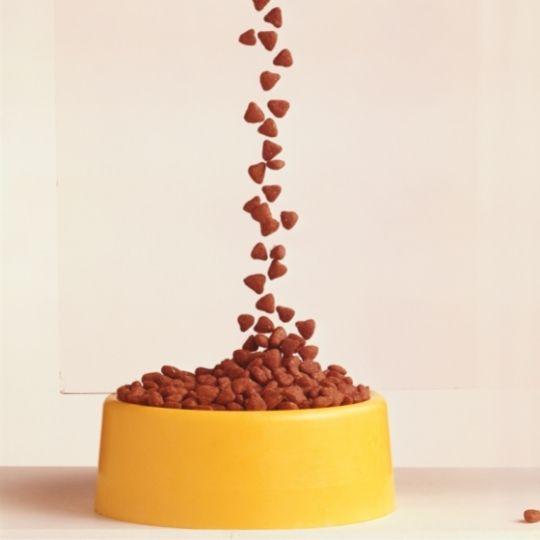 alimentación para mascotas