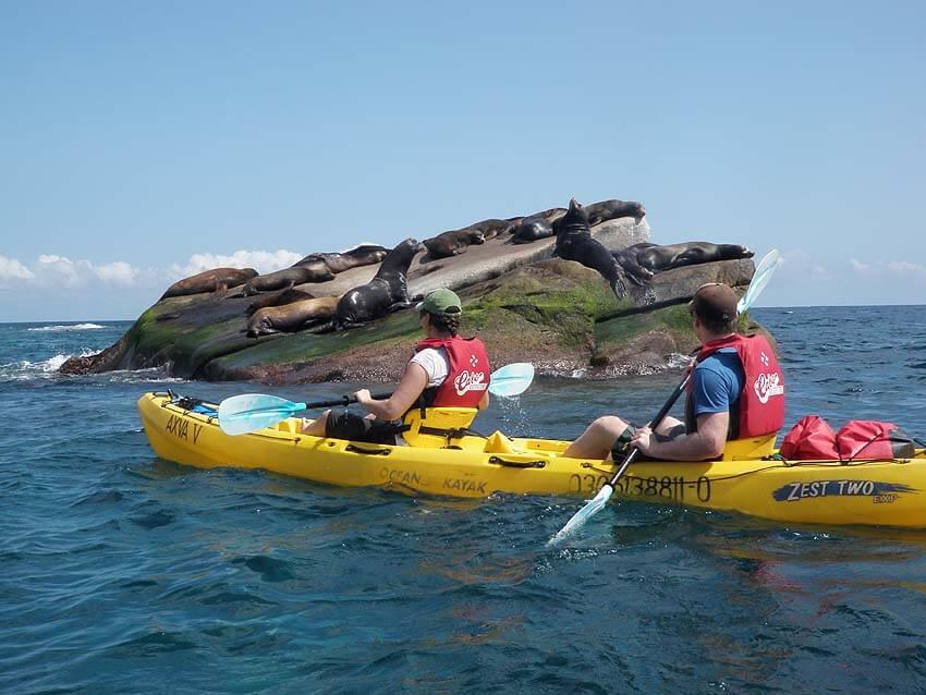 Kayak en Cabo Pulmo