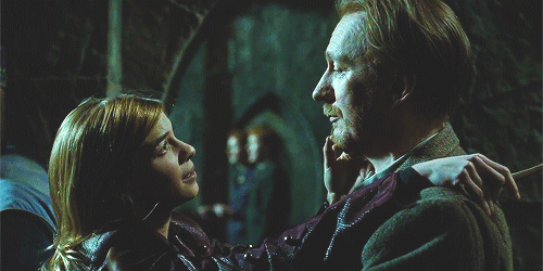 tumblr_n6s0u5jAQw1sglsl0o1_500.gif (500×250) | Fotos de harry potter, Personajes de harry potter, Películas de harry potter