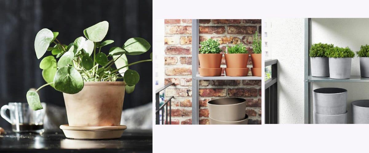 Maceteros de terracota y cemento, aptos pata exterior