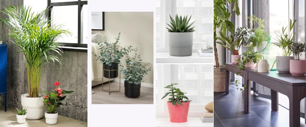 Maceteros con una est&eacute;tica moderna