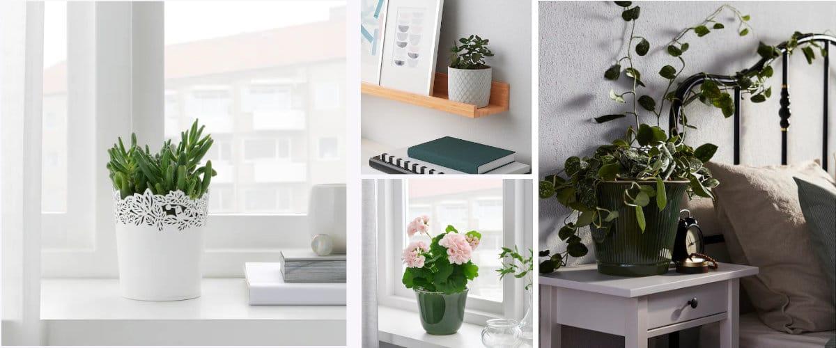 Maceteros cl&aacute;sicos y rom&aacute;nticos