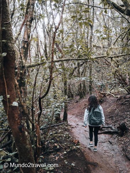 Qué ver en Tenerife, el Parque de Anaga