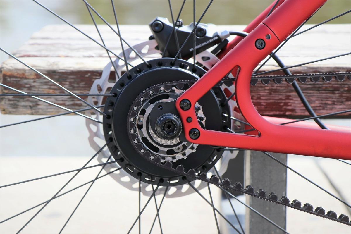 Platzhirsch - Motor y cadena