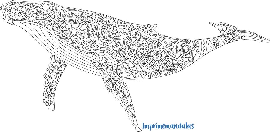 mandalas de animales