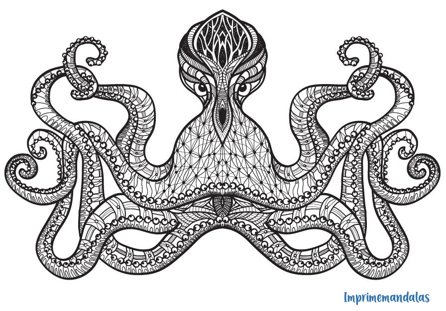 mandalas de animales para colorear