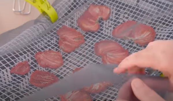 cubrir los tomates con tela mosquitera