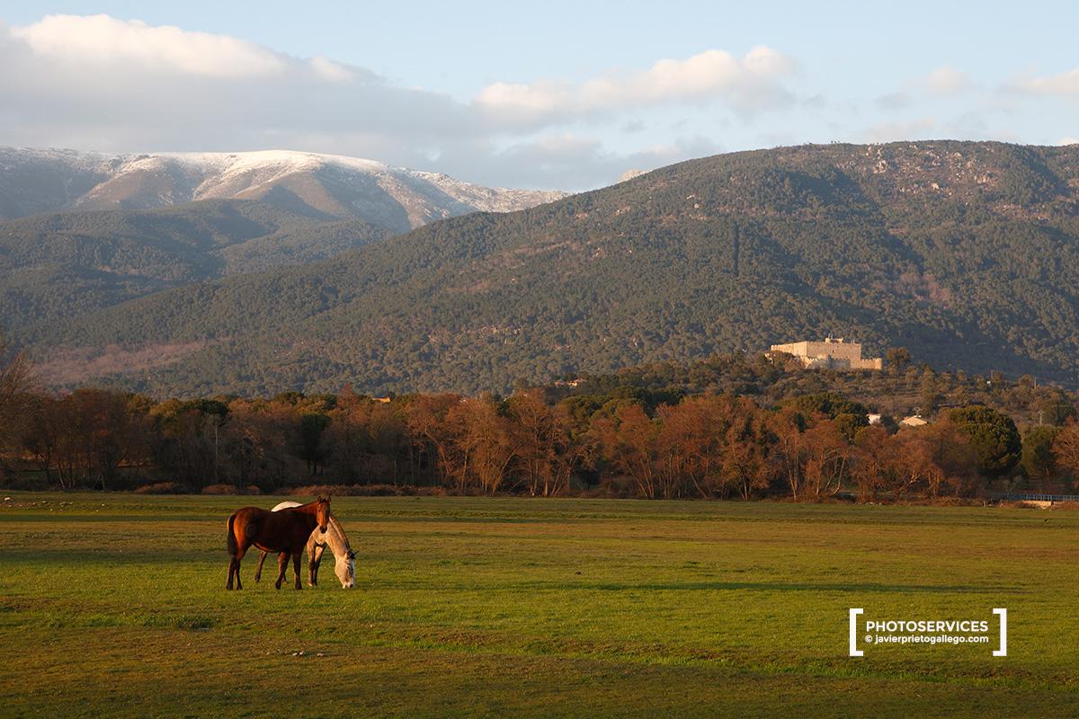 La Adrada. Ávila. Castilla y León. España. © Javier Prieto Gallego