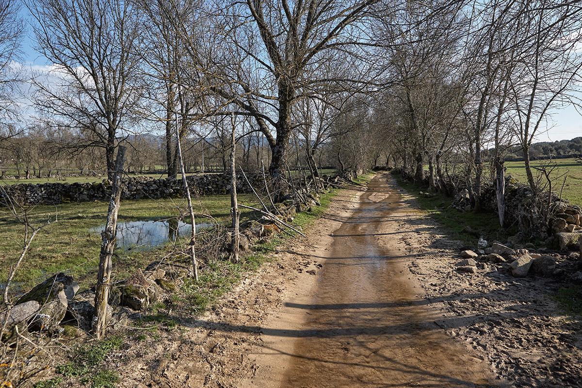 Camino entre vallas. La Adrada. Sierra de Gredos. Valle del Tiétar. Ávila.Castilla y León. España. © Javier Prieto Gallego