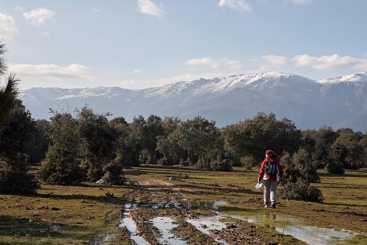 Praderas. La Adrada. Sierra de Gredos. Valle del Tiétar. Ávila.Castilla y León. España. © Javier Prieto Gallego