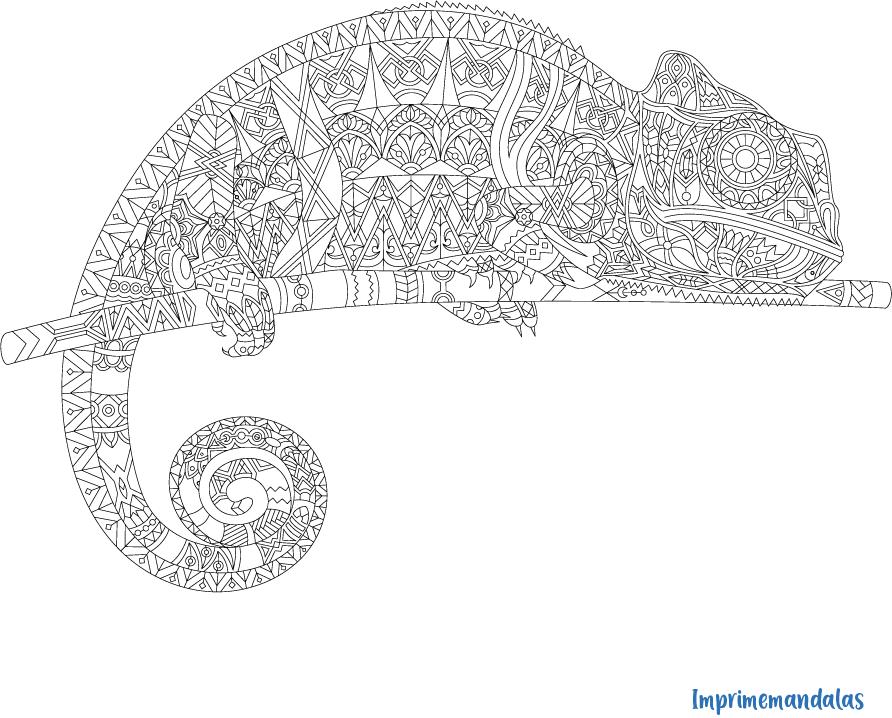 mandalas de animales