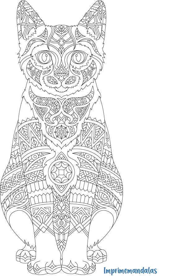 mandala de animales gatos