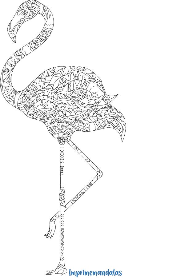 mandala de animales flamenco