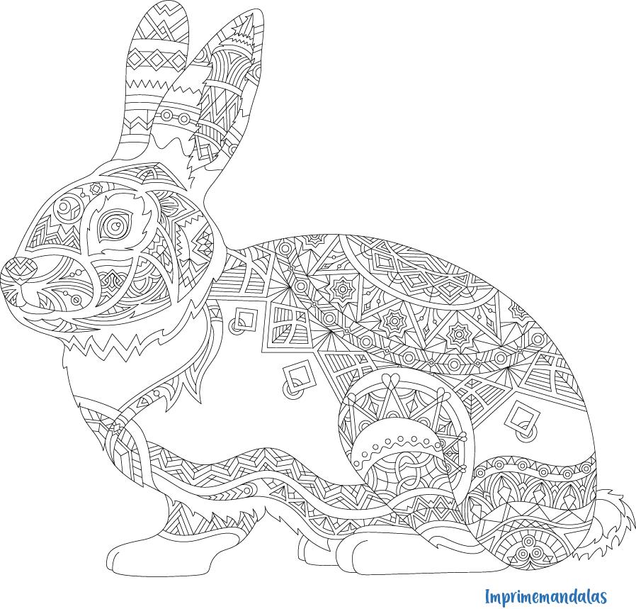 mandala de animales para colorear