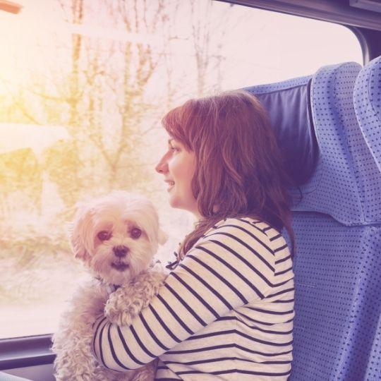 viajar con perro en tren