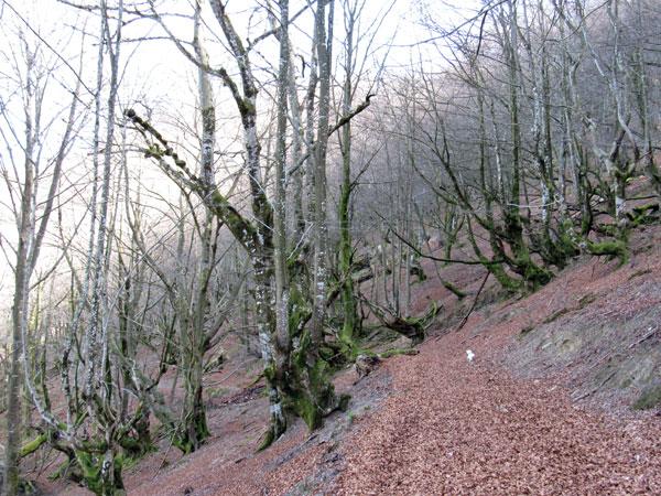 Si en invierno ya es bonito, en verano esto tiene que flipar