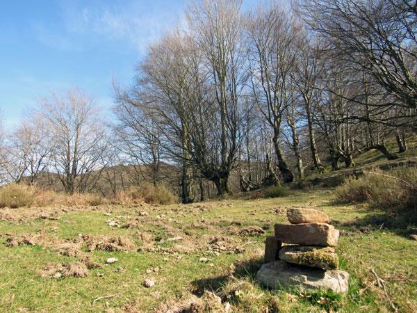 El hito nos confirma el camino que también nos marca el GPS