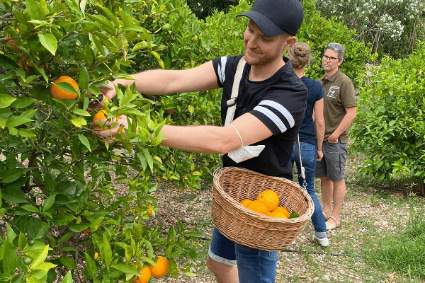hazeva aceite corporal hecho en Mallorac
