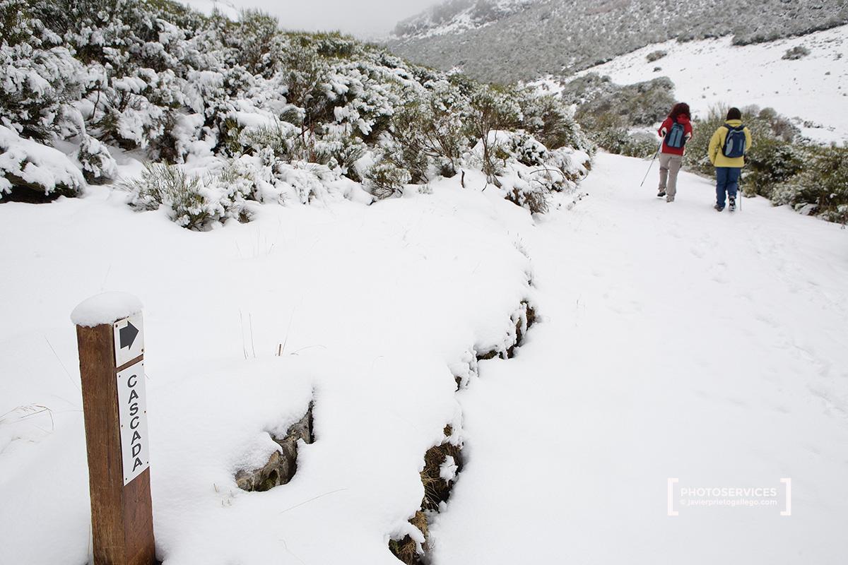 Senda del arroyo Mazobre. Parque Natural de la Montaña Palentina. Palencia. Castilla y León. España © Javier Prieto Gallego