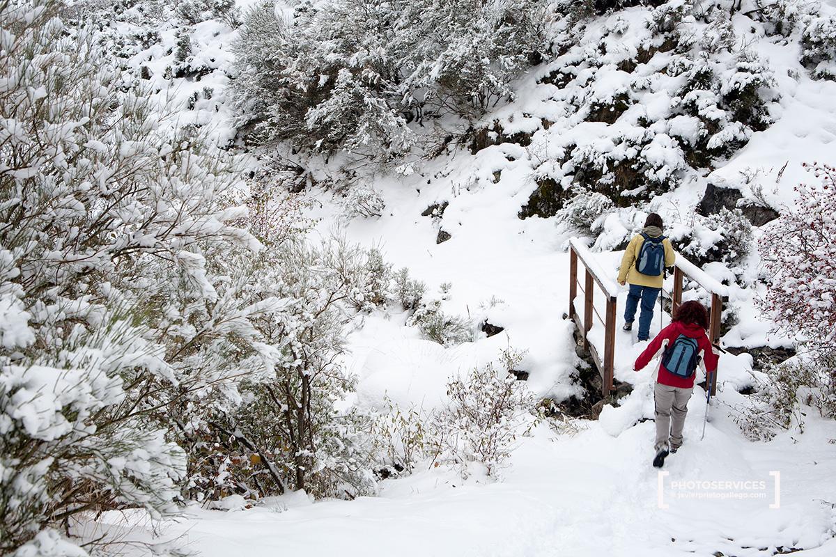Senda del arroyo Mazobre. Parque Natural de la Montaña Palentina. Palencia. Castilla y León. España © Javier Prieto Gallego