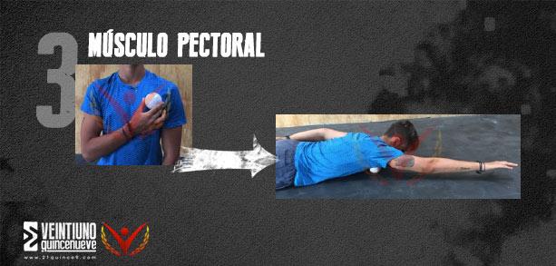 Mobility: 3 ejercicios para mejorar la posición de overhead | Revista 21-15-9