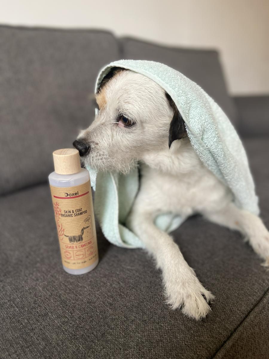 las mejores marcas de shampoo para perros