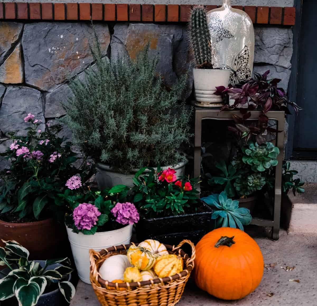 decorar la entrada con calabazas