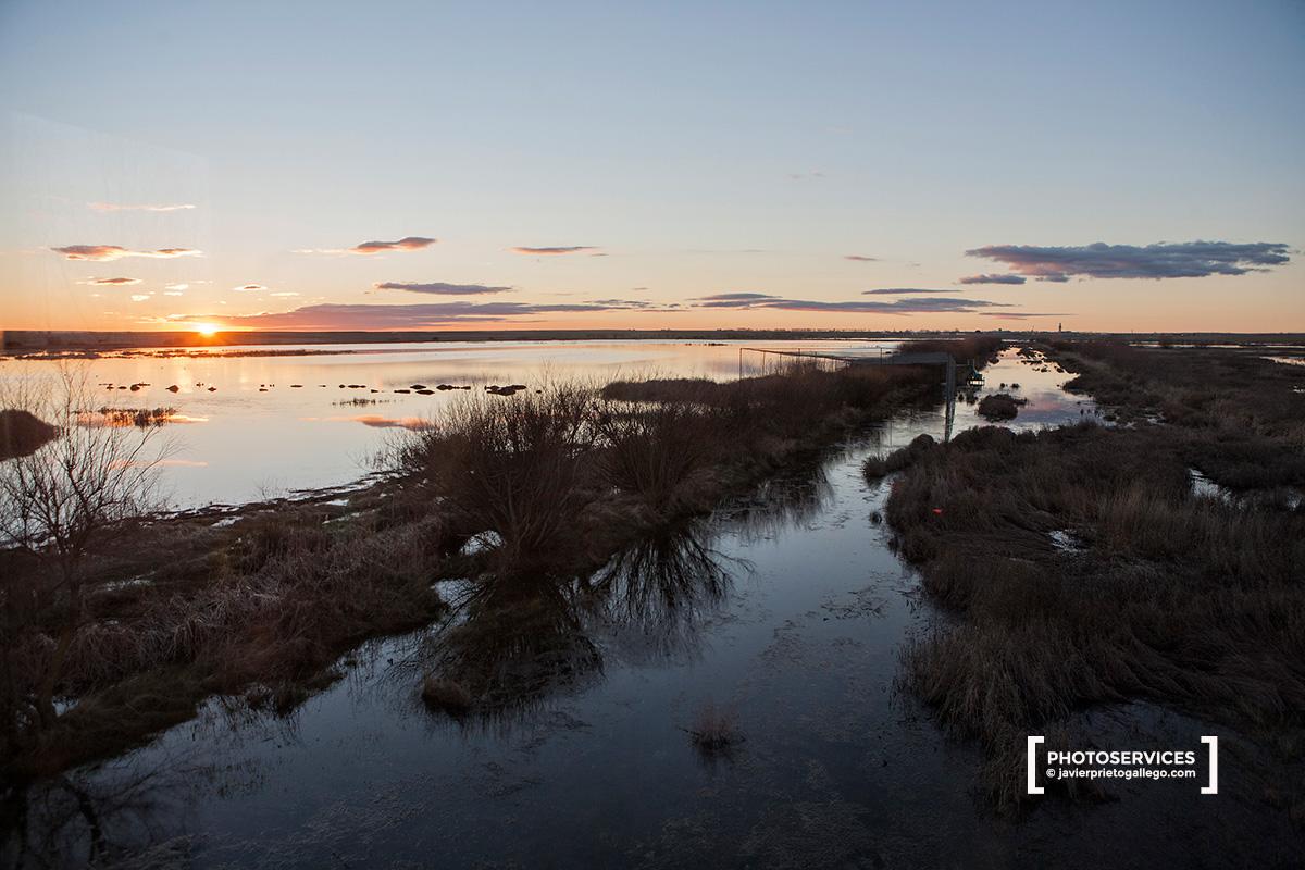 La Laguna de La Nava, incluida en la Ruta de las Aves. Fuentes de Nava. Palencia. Castilla y León. España © Javier Prieto Gallego
