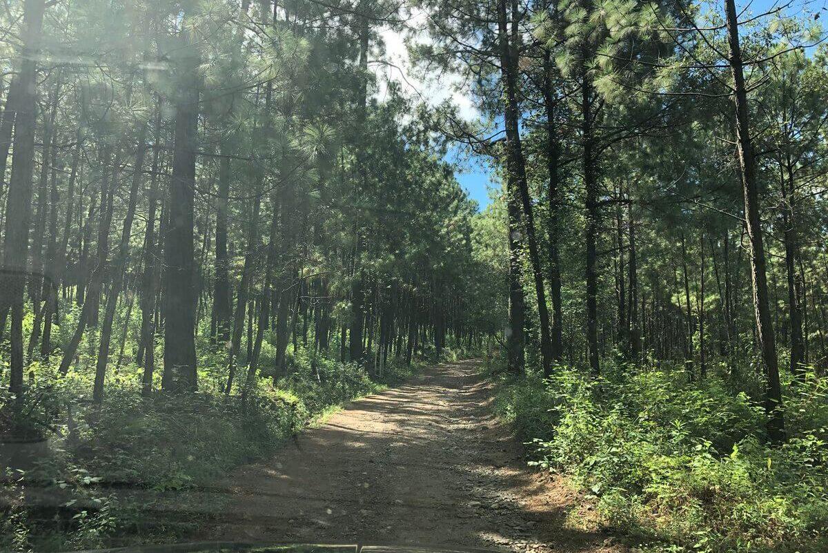 Sierra del Tigre Mazamitla