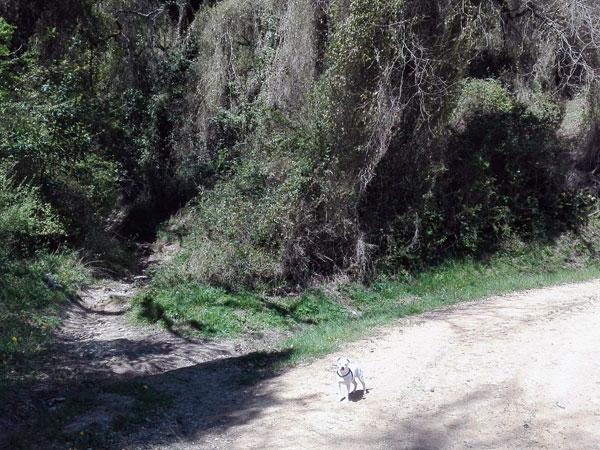 Por este sendero, directos a Babio