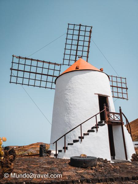 Qué ver en Lanzarote, el Jardín del Cactus