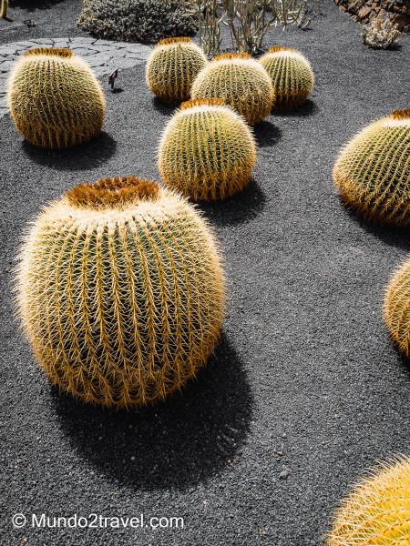 Qué ver en Lanzarote, el Jardín del Cactus