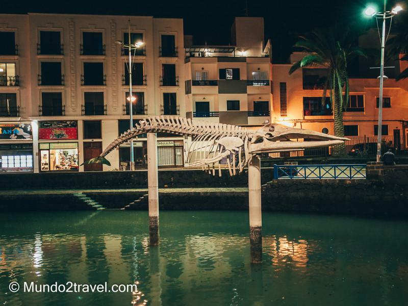 Qué ver en Lanzarote, Esqueleto de ballena de Arrecife