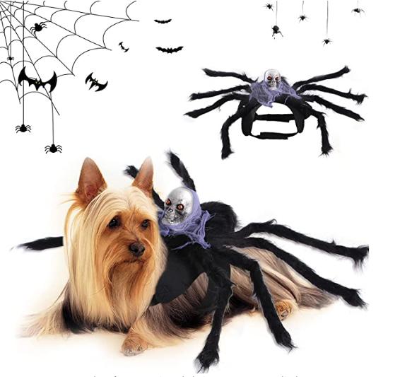 disfraces para perros originales