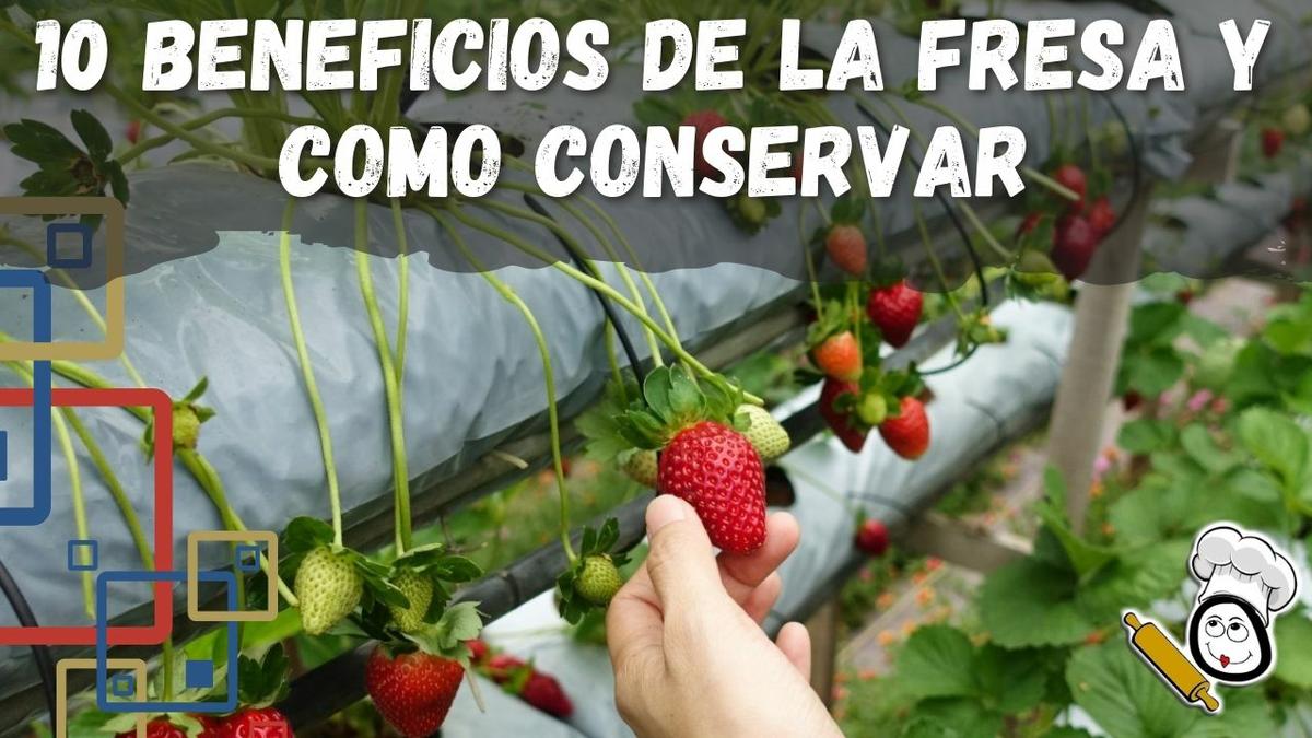 Conservar fresas