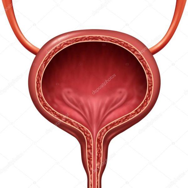 mantener la vejiga saludable