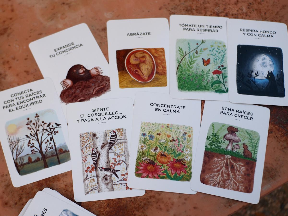 Foto de las tarjetas con calma donde ser ven las ilustraciones de cada tarjeta