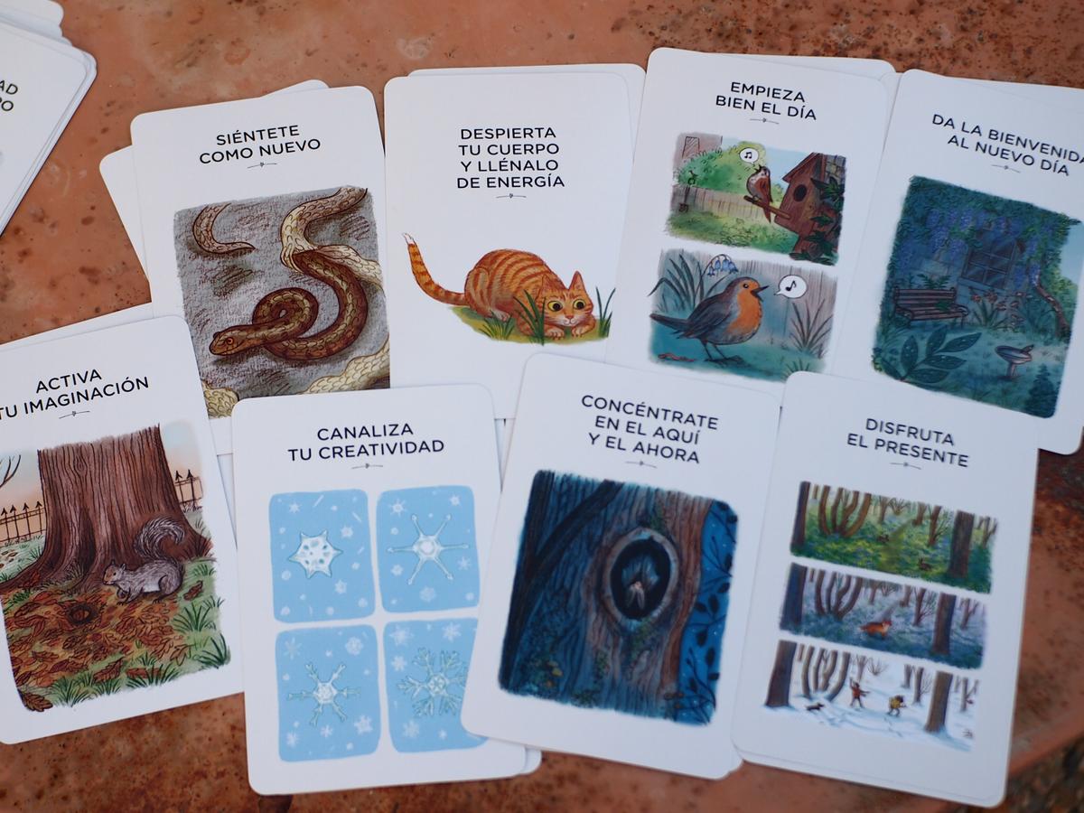 Foto de las tarjetas con calma donde ser ven las ilustraciones de cada tarjeta