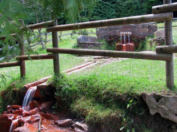 Este agua tiene que curar la anemia sí o sí