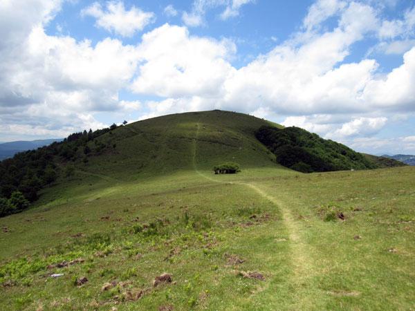 Se ve que por aquí pasea gente